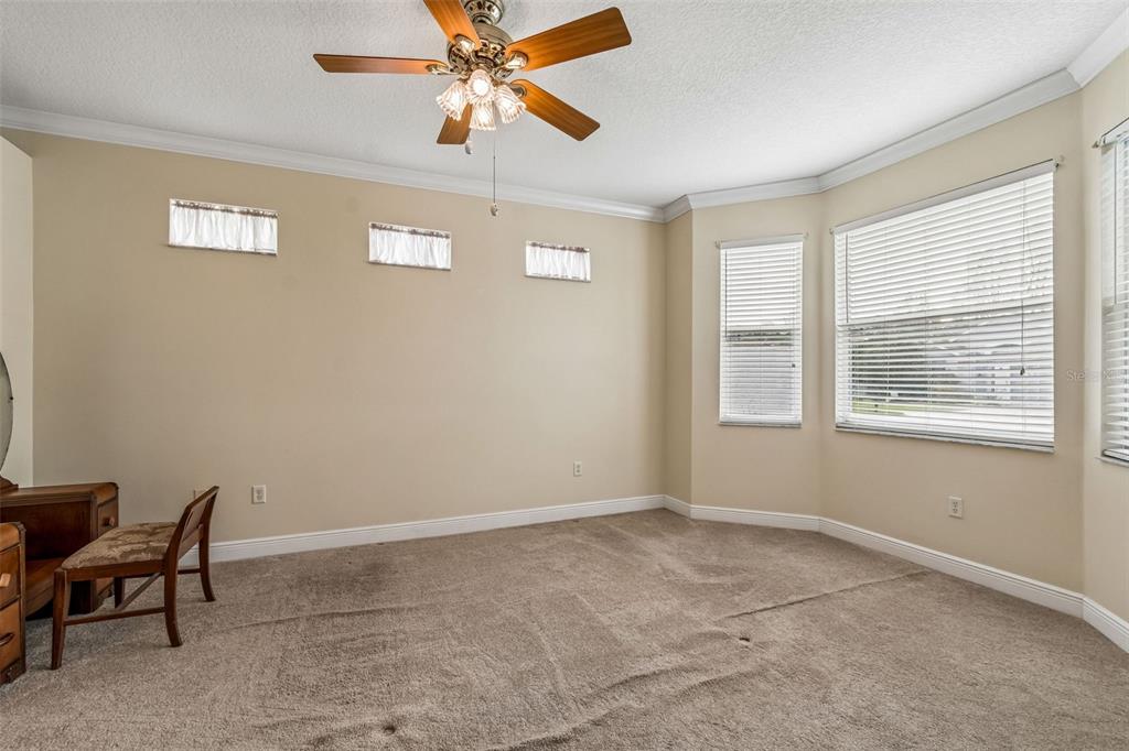 20904 Tangor Road Land O Lakes, FL 34637 - Photo 24 of 86