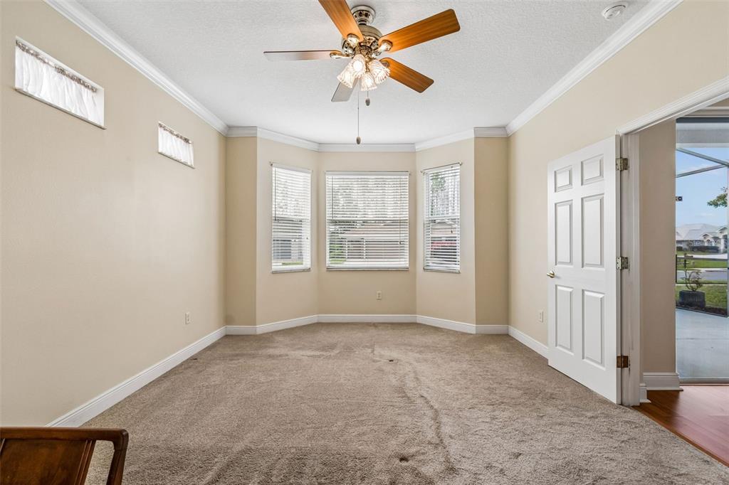 20904 Tangor Road Land O Lakes, FL 34637 - Photo 25 of 86