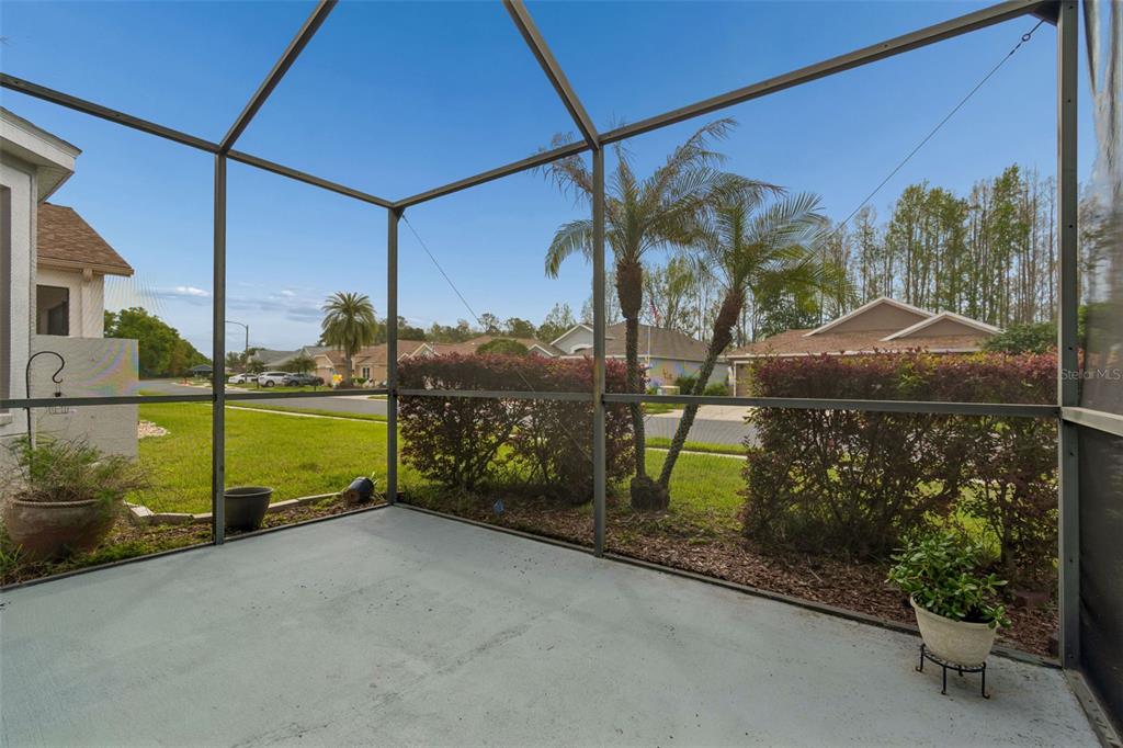 20904 Tangor Road Land O Lakes, FL 34637 - Photo 59 of 86