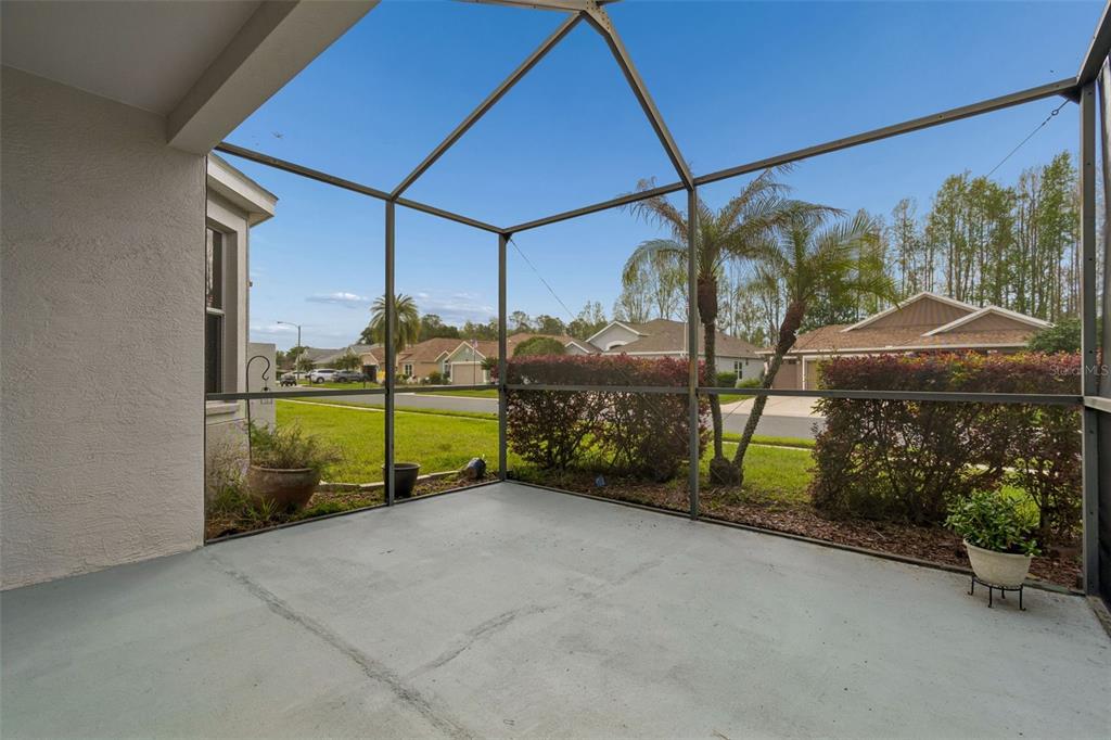 20904 Tangor Road Land O Lakes, FL 34637 - Photo 63 of 86