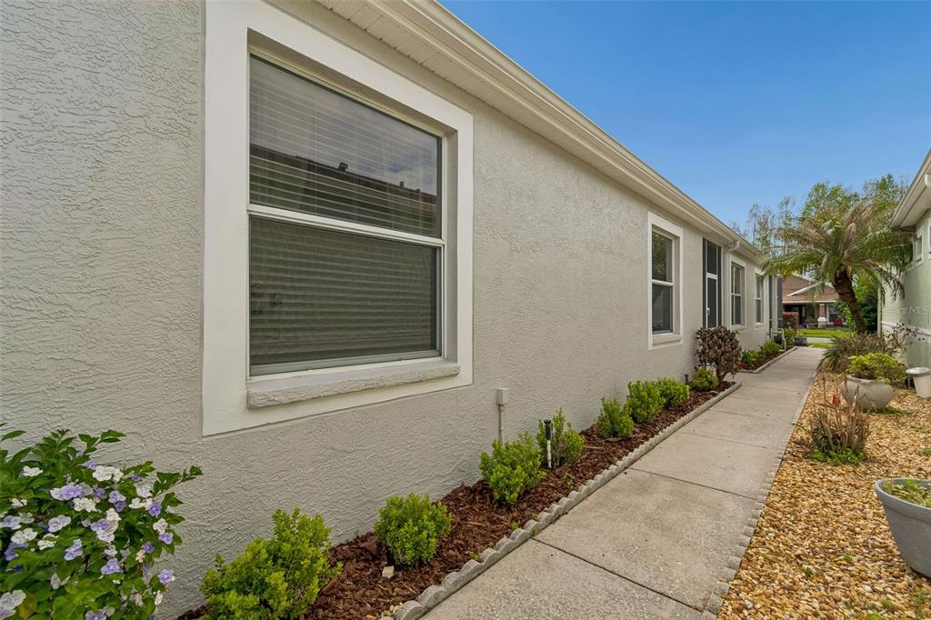 20904 Tangor Road Land O Lakes, FL 34637 - Photo 7 of 86