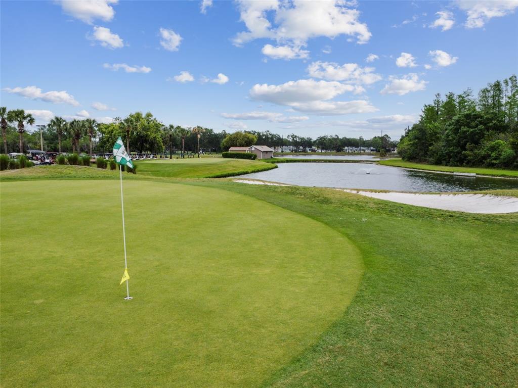 20904 Tangor Road Land O Lakes, FL 34637 - Photo 79 of 86