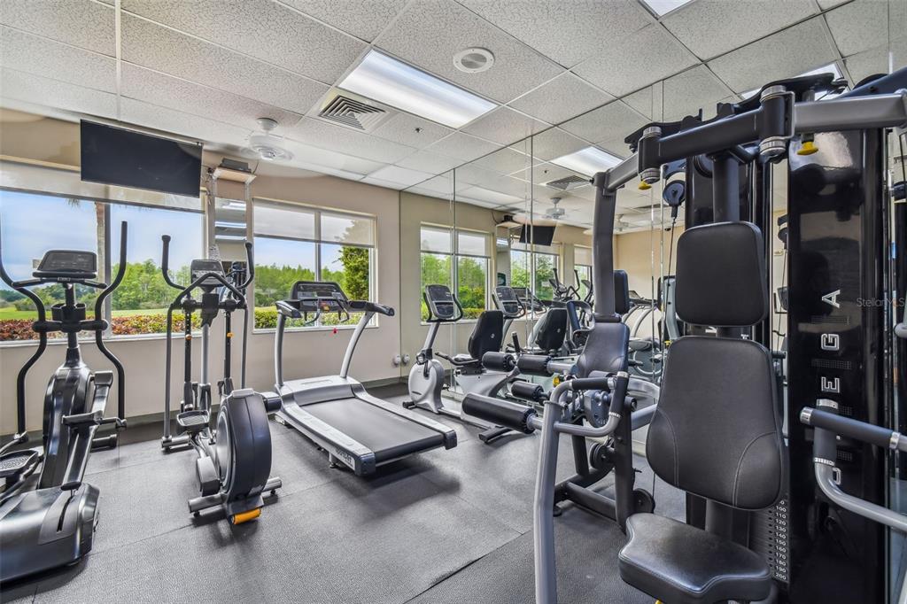 20904 Tangor Road Land O Lakes, FL 34637 - Photo 82 of 86