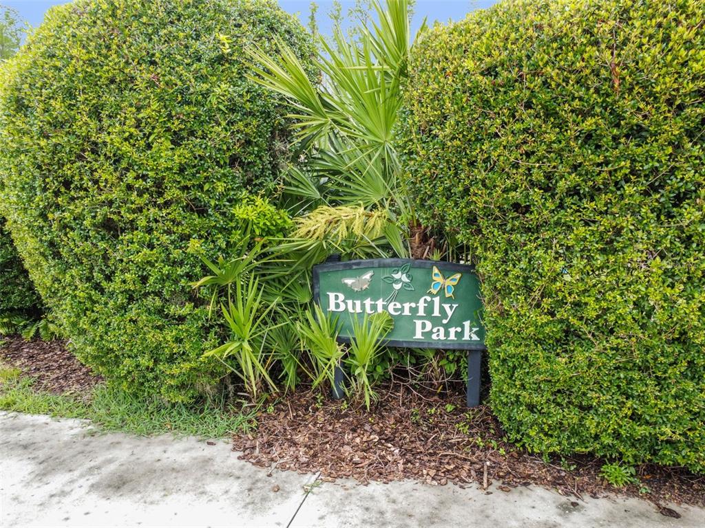 20904 Tangor Road Land O Lakes, FL 34637 - Photo 86 of 86