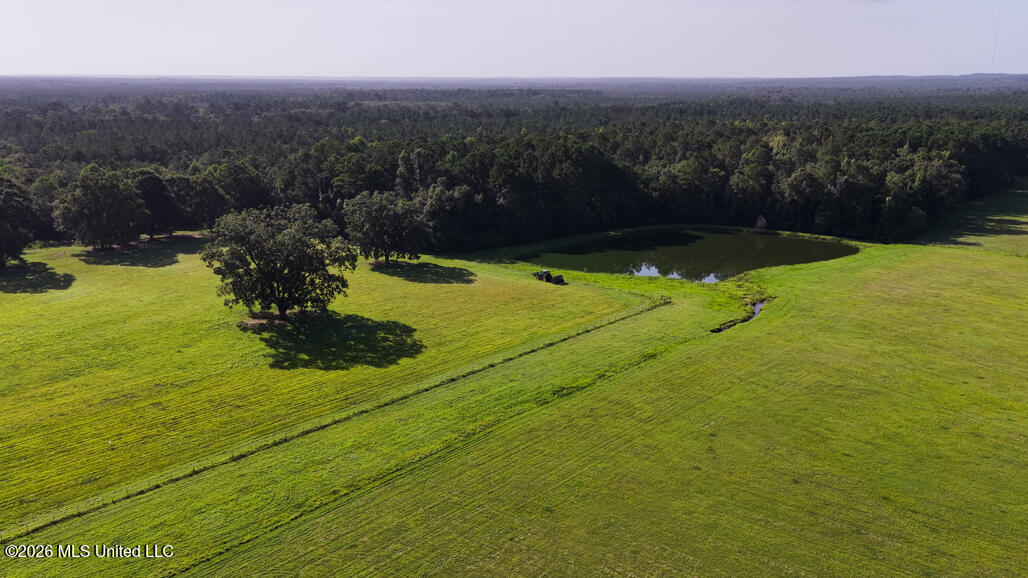 164 Lott Cemetary Road Perkinston, MS 39573 - Photo 60 of 68 pic-35