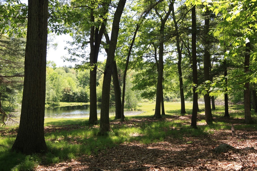 Lot A Lot A Musterfield Road Concord, MA 01742 - Photo 3 of 10