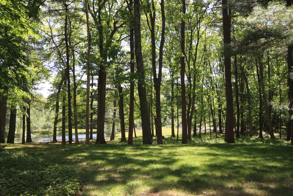 Lot A Lot A Musterfield Road Concord, MA 01742 - Photo 4 of 10