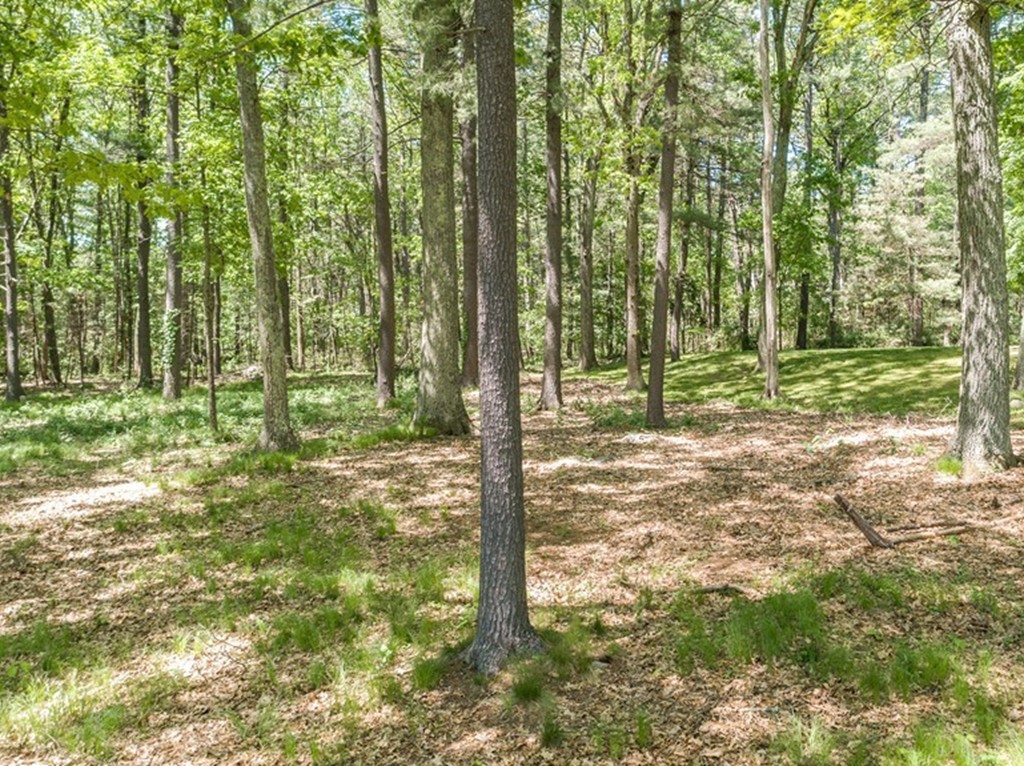 Lot A Lot A Musterfield Road Concord, MA 01742 - Photo 7 of 10