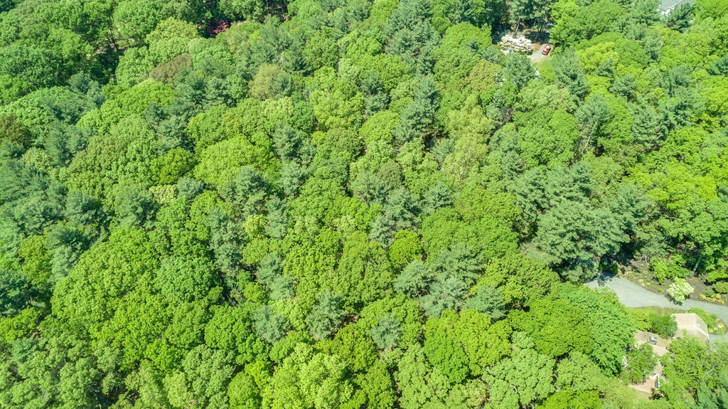Lot A Lot A Musterfield Road Concord, MA 01742 - Photo 10 of 10
