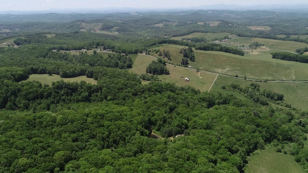 5461 Joy Ranch Road Fancy Gap, VA 24328 - Photo 43 of 58 Gallery Image 43