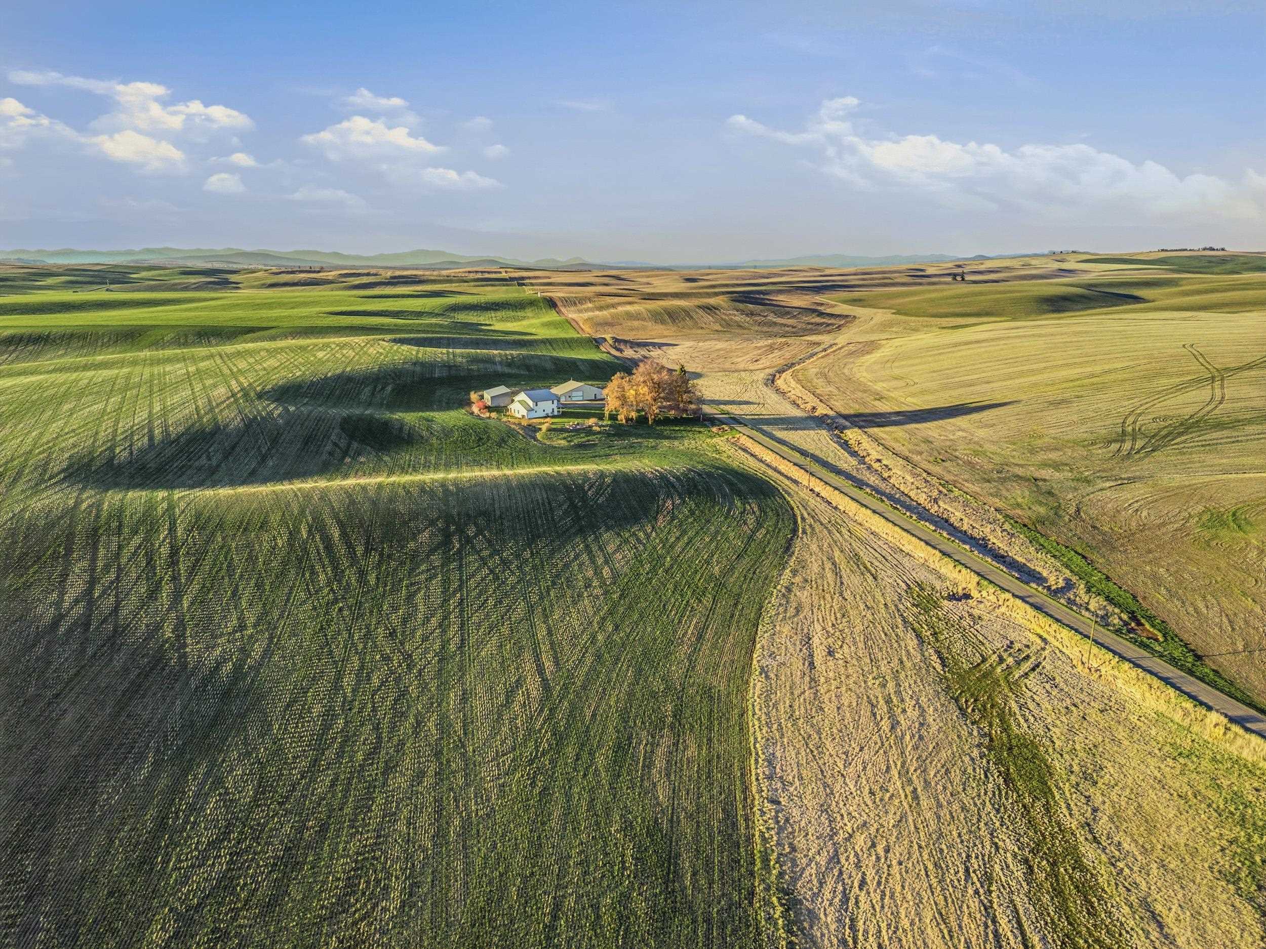 28805 Schumer Road Davenport, WA 99122 - Photo 44 of 48