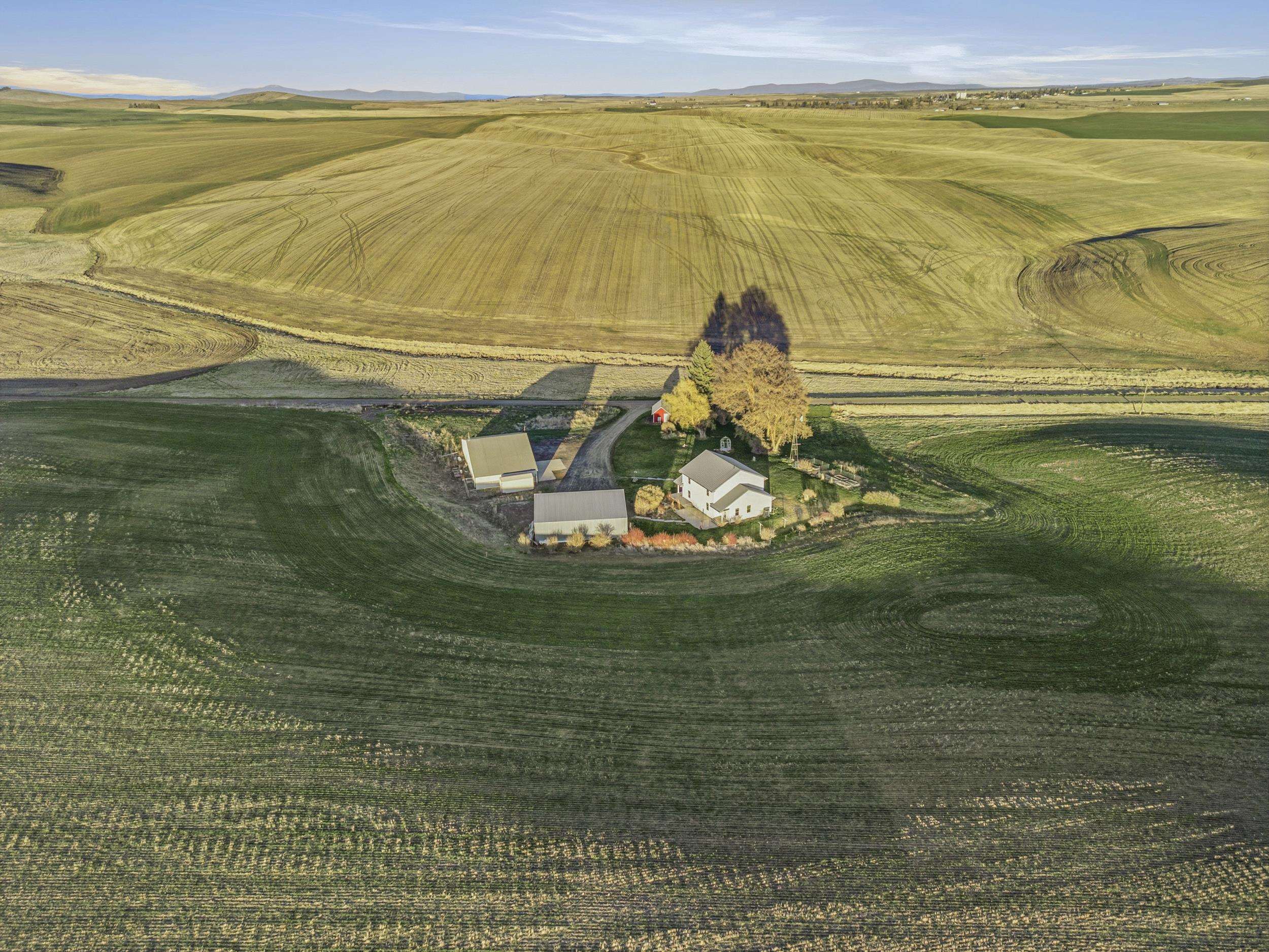 28805 Schumer Road Davenport, WA 99122 - Photo 45 of 48