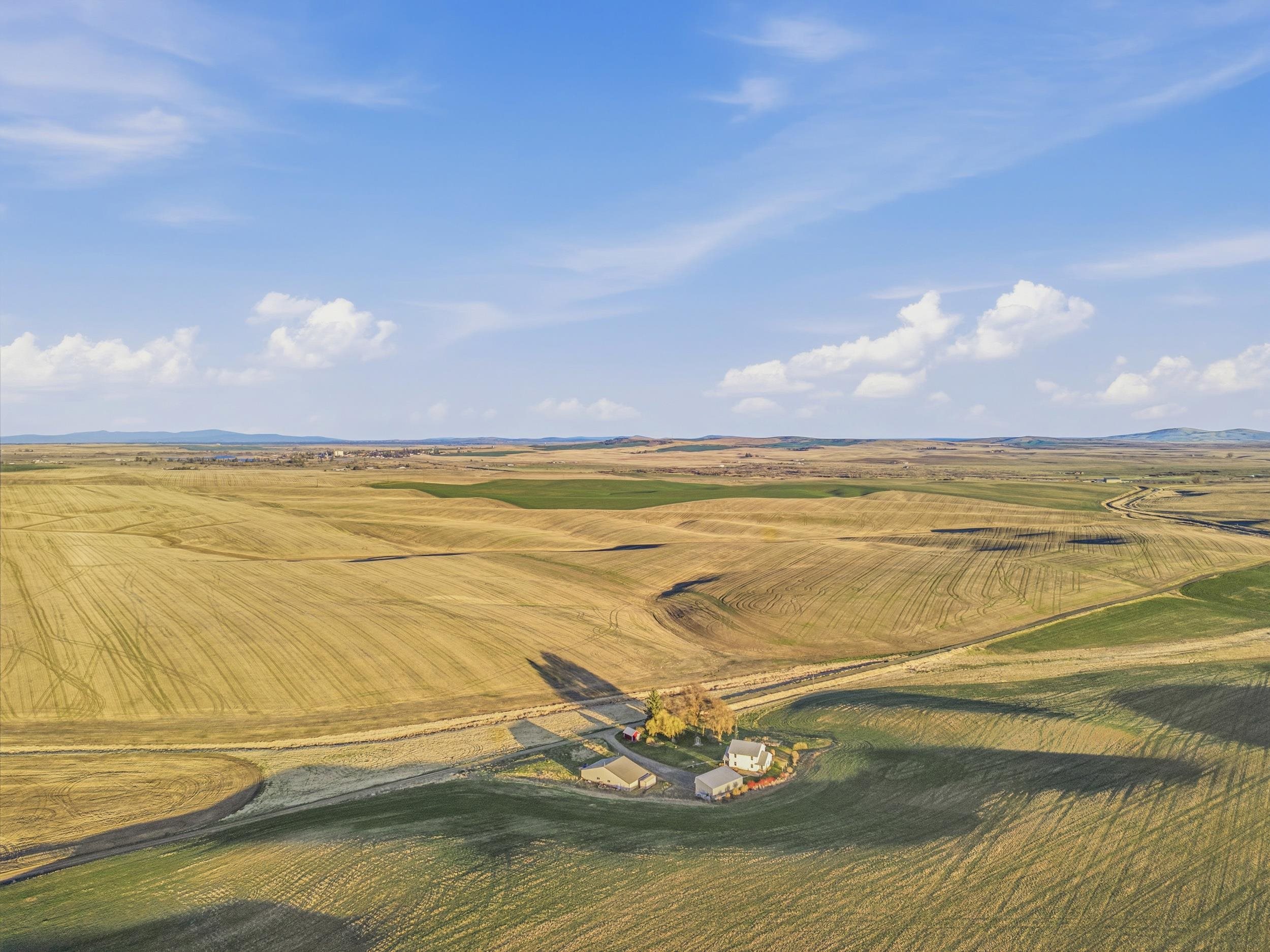 28805 Schumer Road Davenport, WA 99122 - Photo 47 of 48