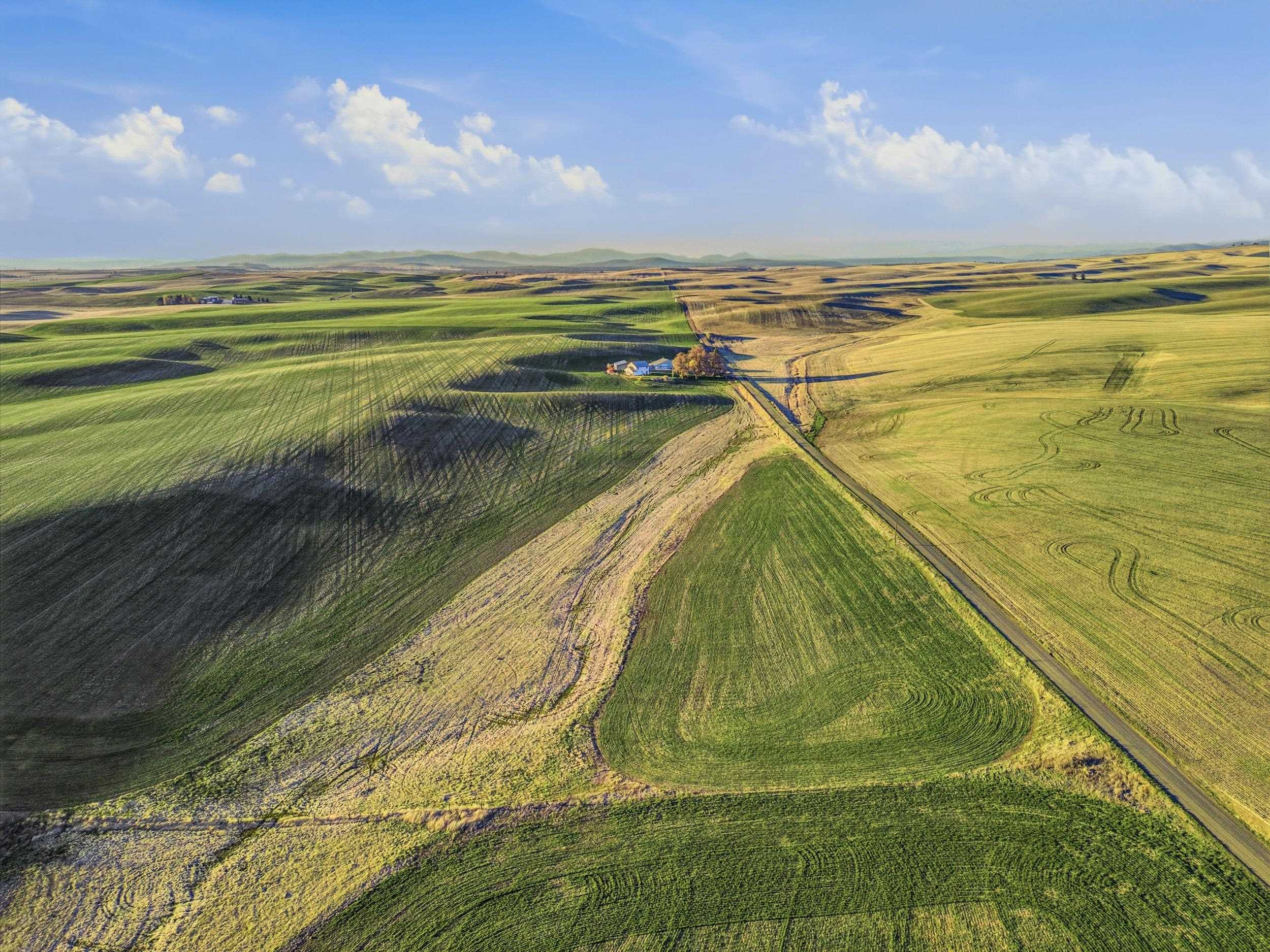 28805 Schumer Road Davenport, WA 99122 - Photo 48 of 48