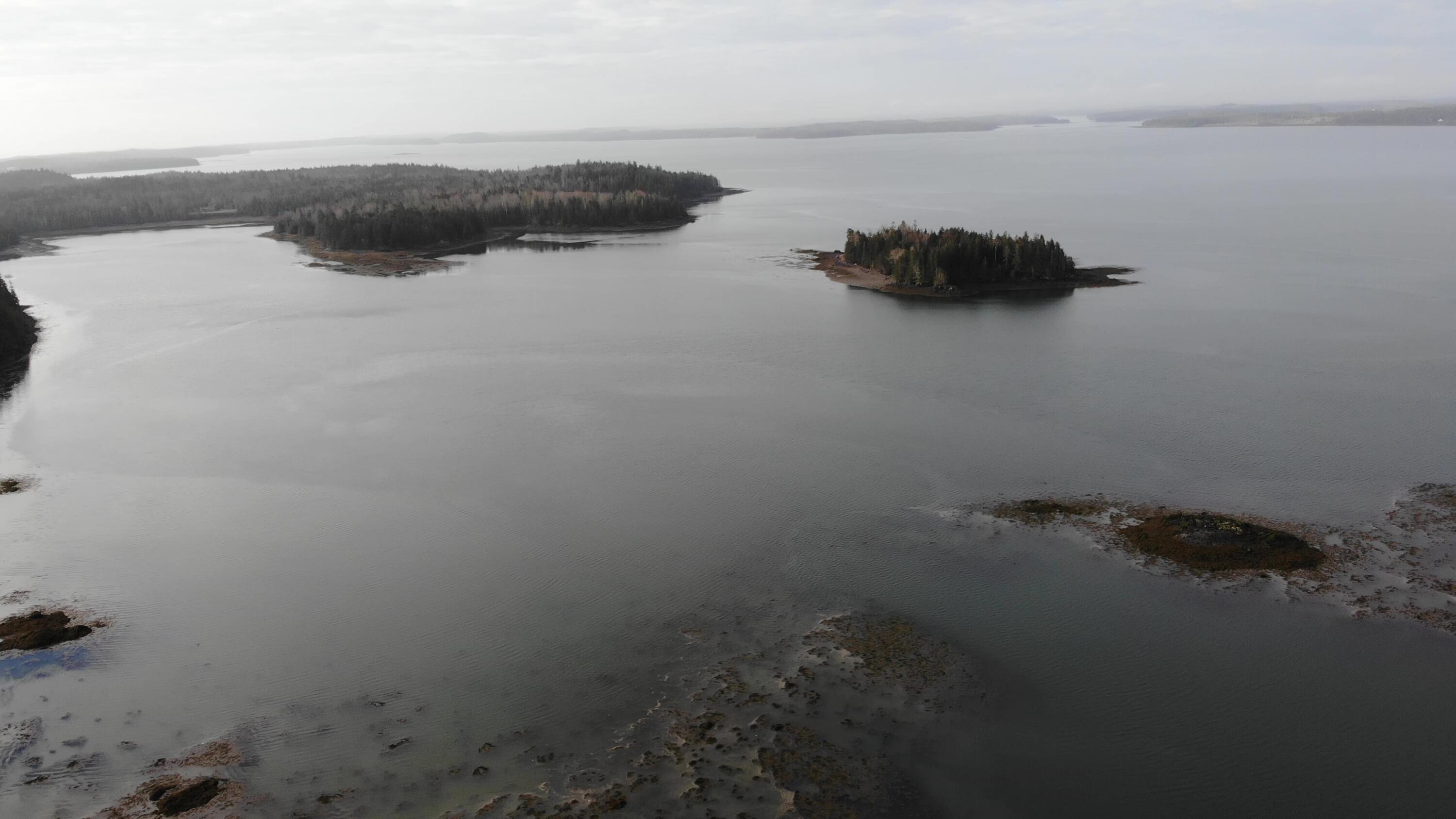164 Leach Point Road Perry, ME 04667 - Photo 8 of 62 DJI_0100 - frame at 3m43s