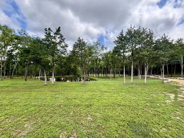 $3,800,000 | 8598 Taliaferro Road, Eagleville, TN 37060