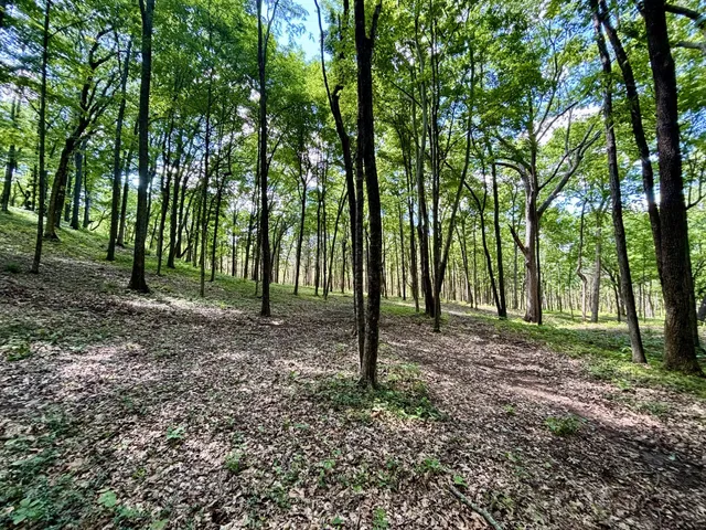 $3,800,000 | 8598 Taliaferro Road, Eagleville, TN 37060