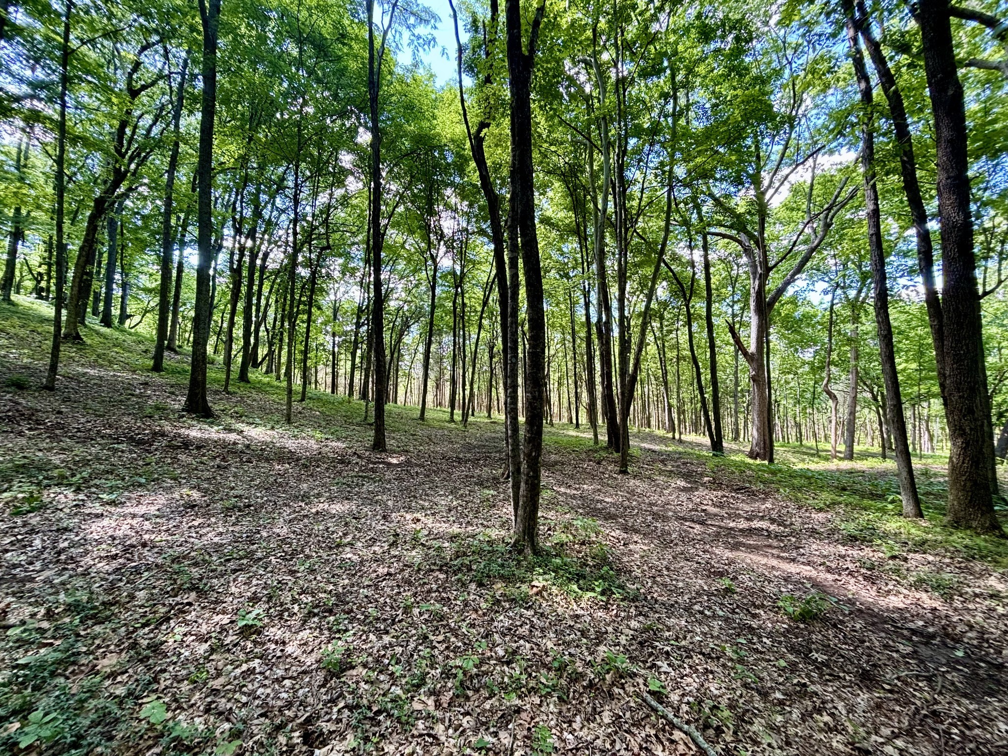 8598 Taliaferro Road Eagleville, TN 37060 - Photo 11 of 60