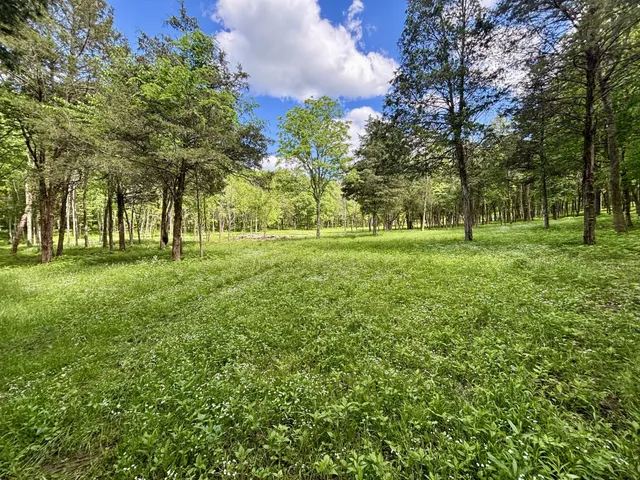 $3,800,000 | 8598 Taliaferro Road, Eagleville, TN 37060