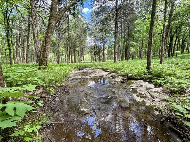 $3,800,000 | 8598 Taliaferro Road, Eagleville, TN 37060