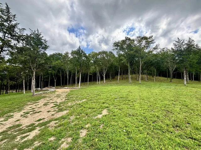 $3,800,000 | 8598 Taliaferro Road, Eagleville, TN 37060
