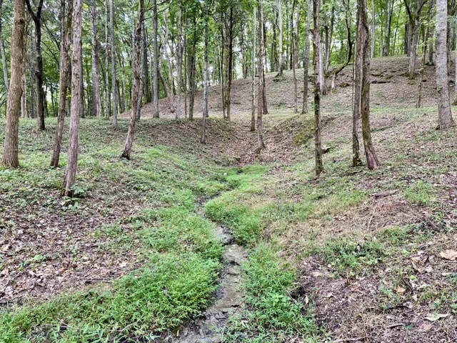 $3,800,000 | 8598 Taliaferro Road, Eagleville, TN 37060