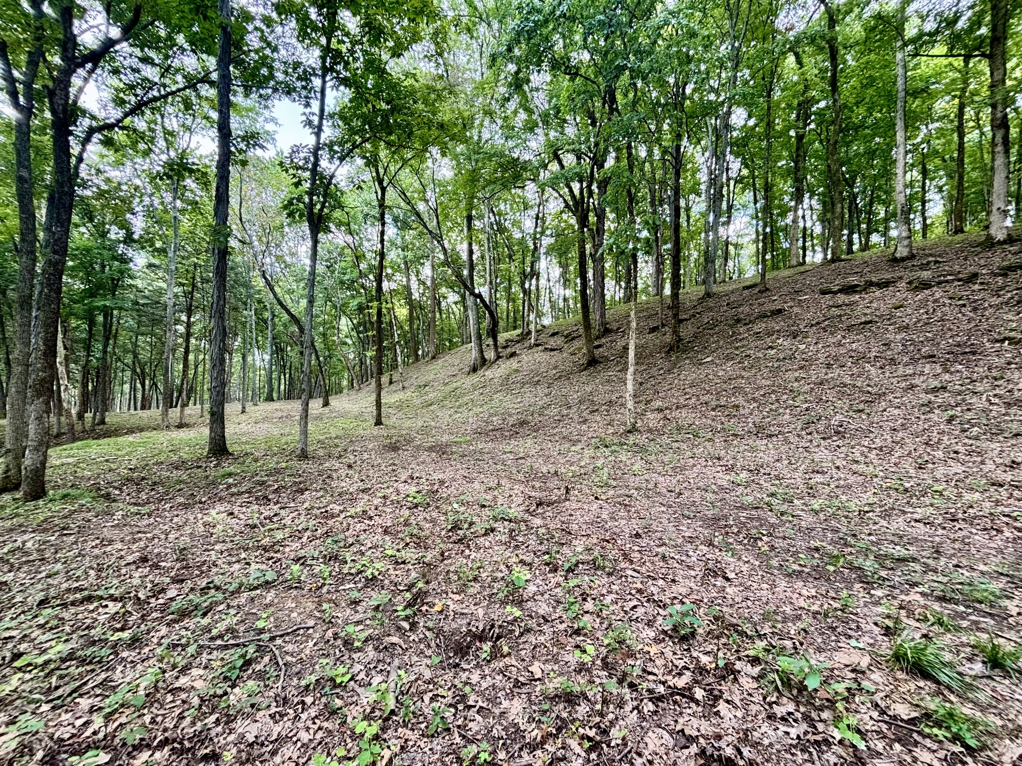 8598 Taliaferro Road Eagleville, TN 37060 - Photo 25 of 60