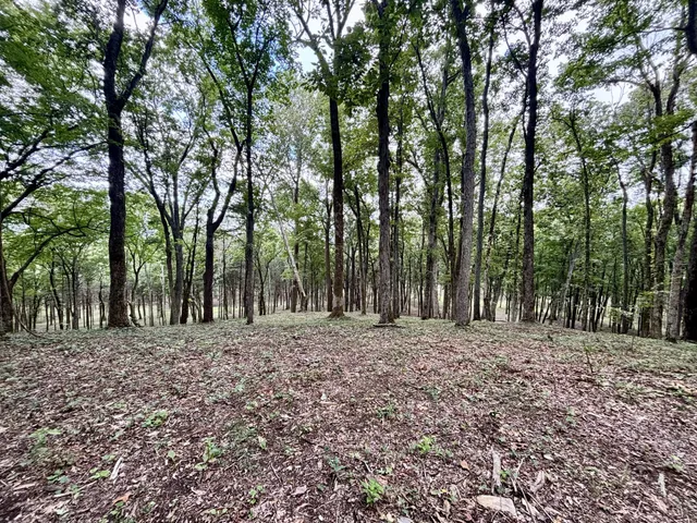 $3,800,000 | 8598 Taliaferro Road, Eagleville, TN 37060