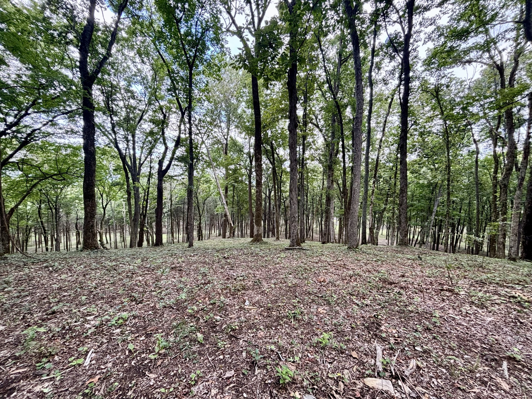 8598 Taliaferro Road Eagleville, TN 37060 - Photo 26 of 60