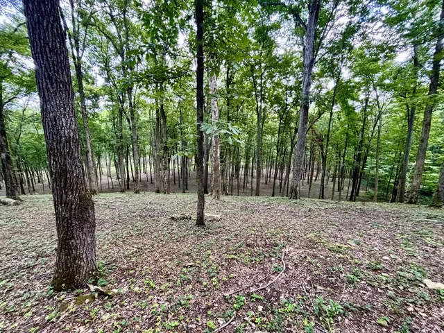 $3,800,000 | 8598 Taliaferro Road, Eagleville, TN 37060