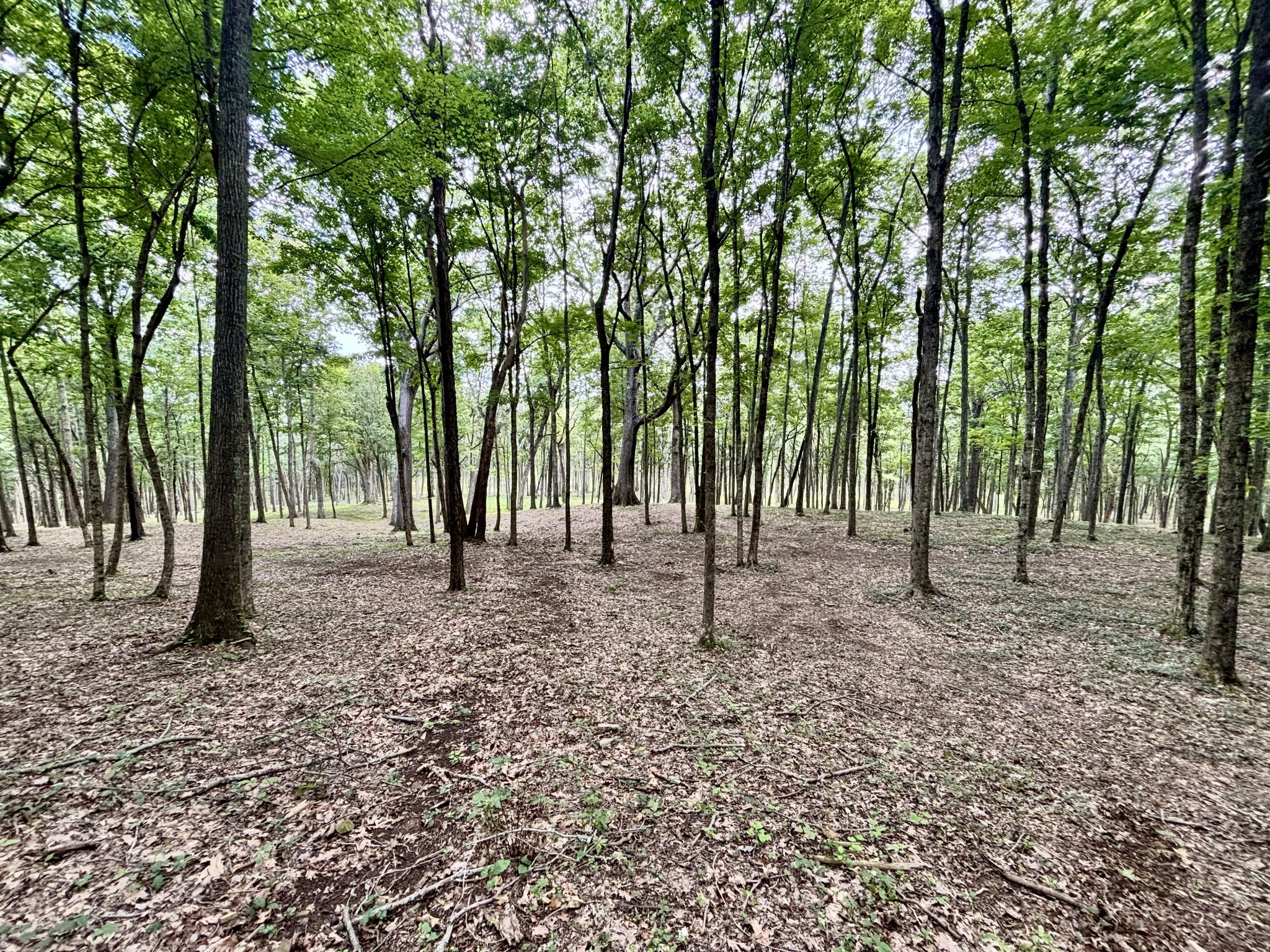 8598 Taliaferro Road Eagleville, TN 37060 - Photo 28 of 60