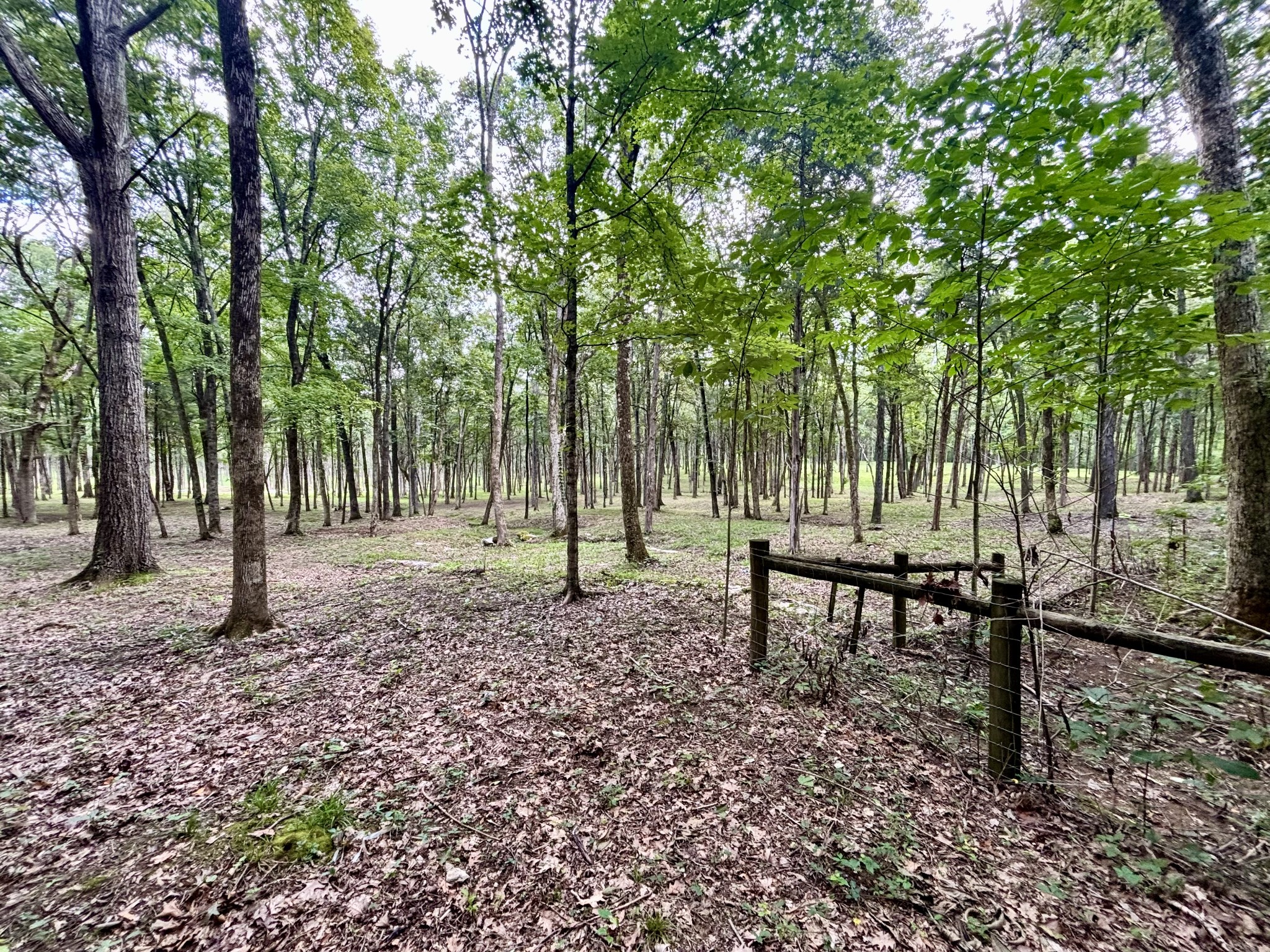 8598 Taliaferro Road Eagleville, TN 37060 - Photo 29 of 60