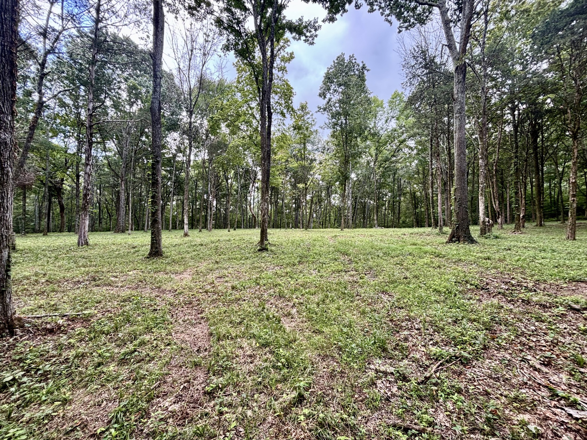 8598 Taliaferro Road Eagleville, TN 37060 - Photo 30 of 60