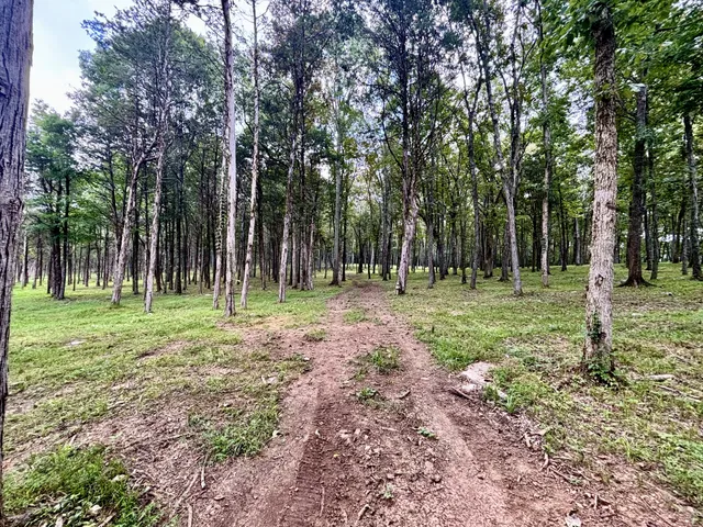 $3,800,000 | 8598 Taliaferro Road, Eagleville, TN 37060