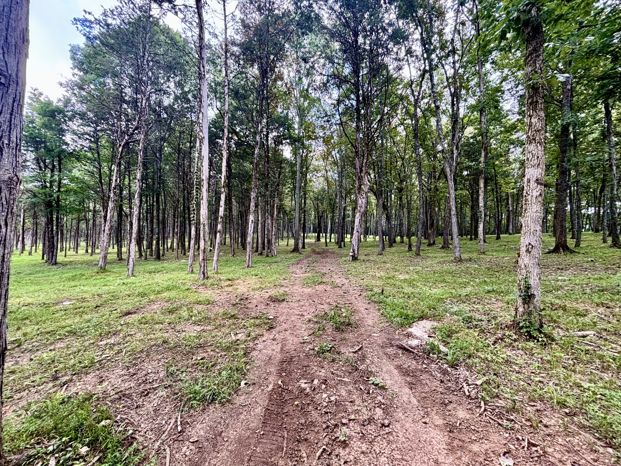 8598 Taliaferro Road Eagleville, TN 37060 - Photo 31 of 60