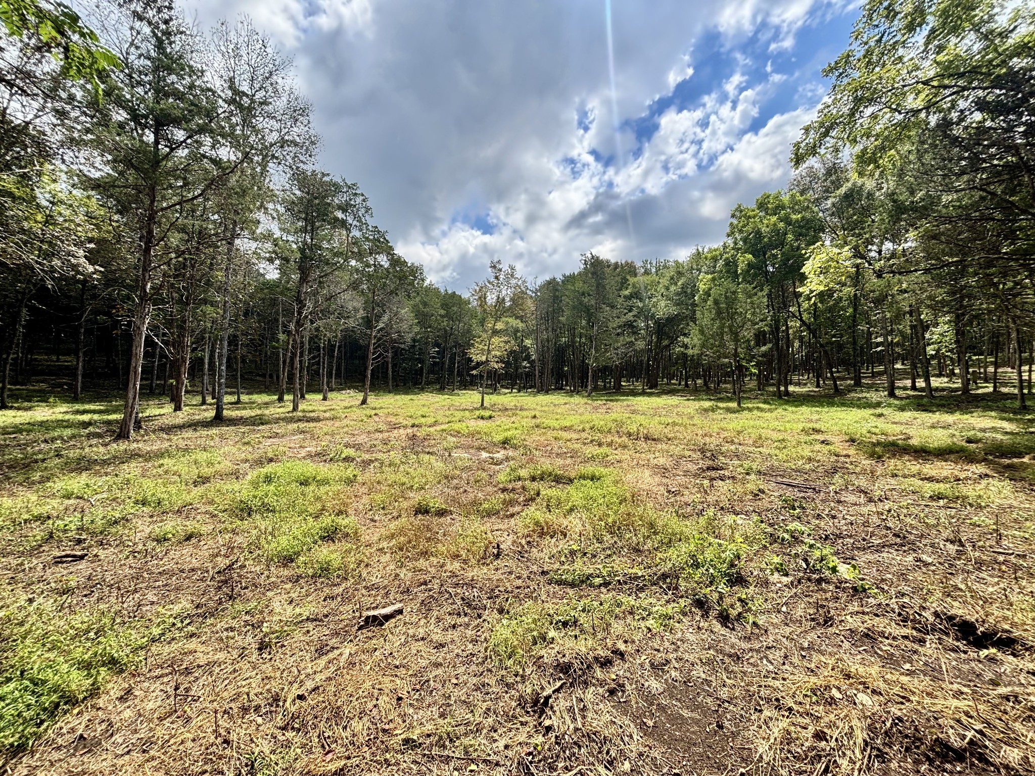 8598 Taliaferro Road Eagleville, TN 37060 - Photo 35 of 60