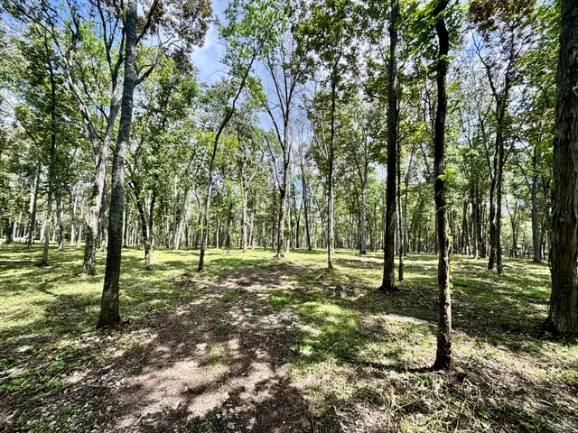 $3,800,000 | 8598 Taliaferro Road, Eagleville, TN 37060