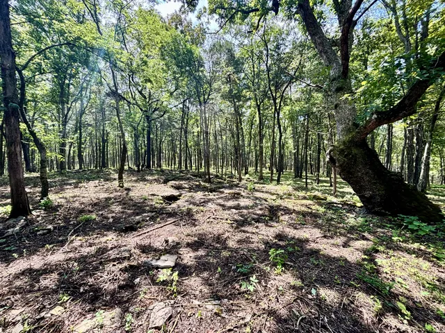 $3,800,000 | 8598 Taliaferro Road, Eagleville, TN 37060