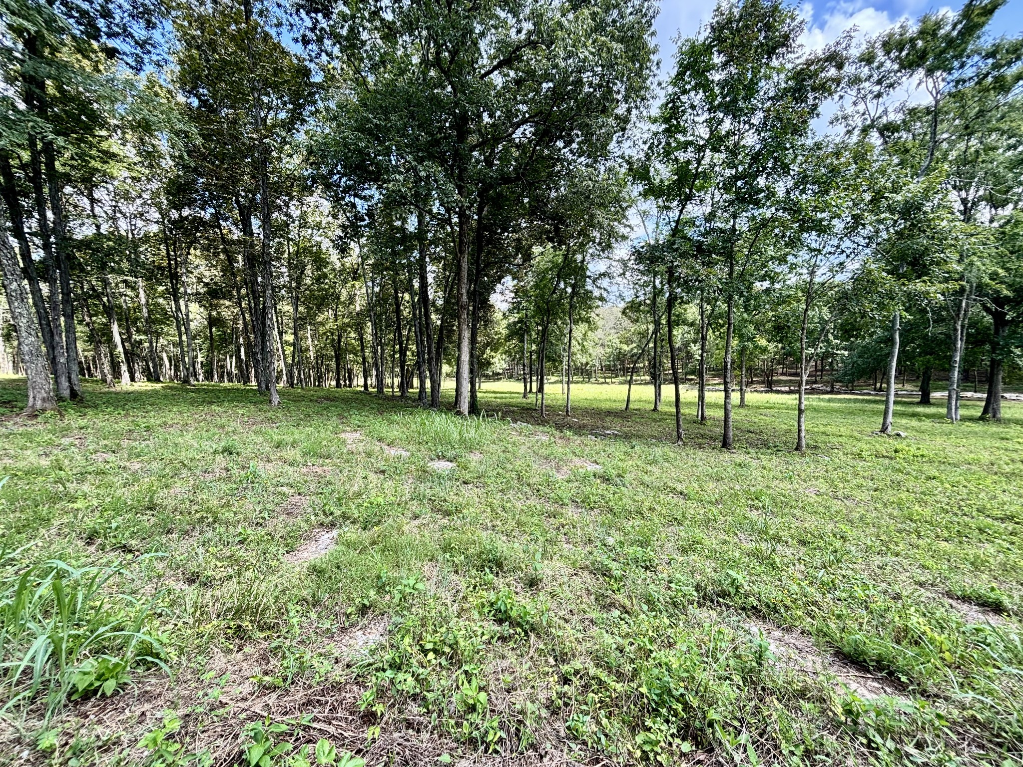 8598 Taliaferro Road Eagleville, TN 37060 - Photo 41 of 60