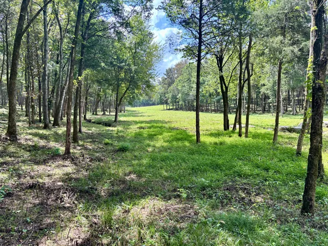 $3,800,000 | 8598 Taliaferro Road, Eagleville, TN 37060