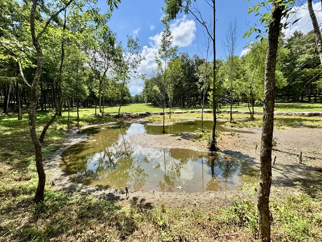 $3,800,000 | 8598 Taliaferro Road, Eagleville, TN 37060