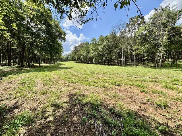 $3,800,000 | 8598 Taliaferro Road, Eagleville, TN 37060