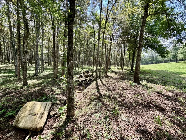 $3,800,000 | 8598 Taliaferro Road, Eagleville, TN 37060