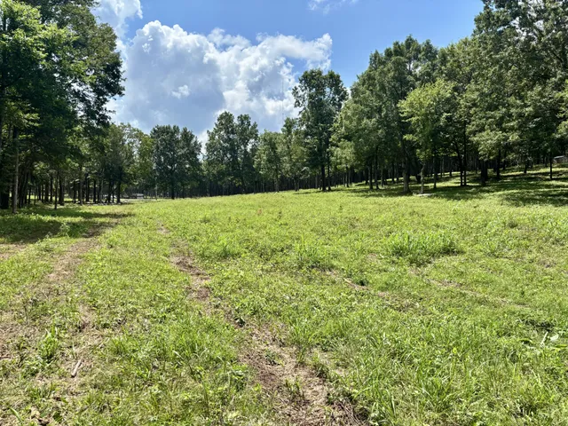 $3,800,000 | 8598 Taliaferro Road, Eagleville, TN 37060