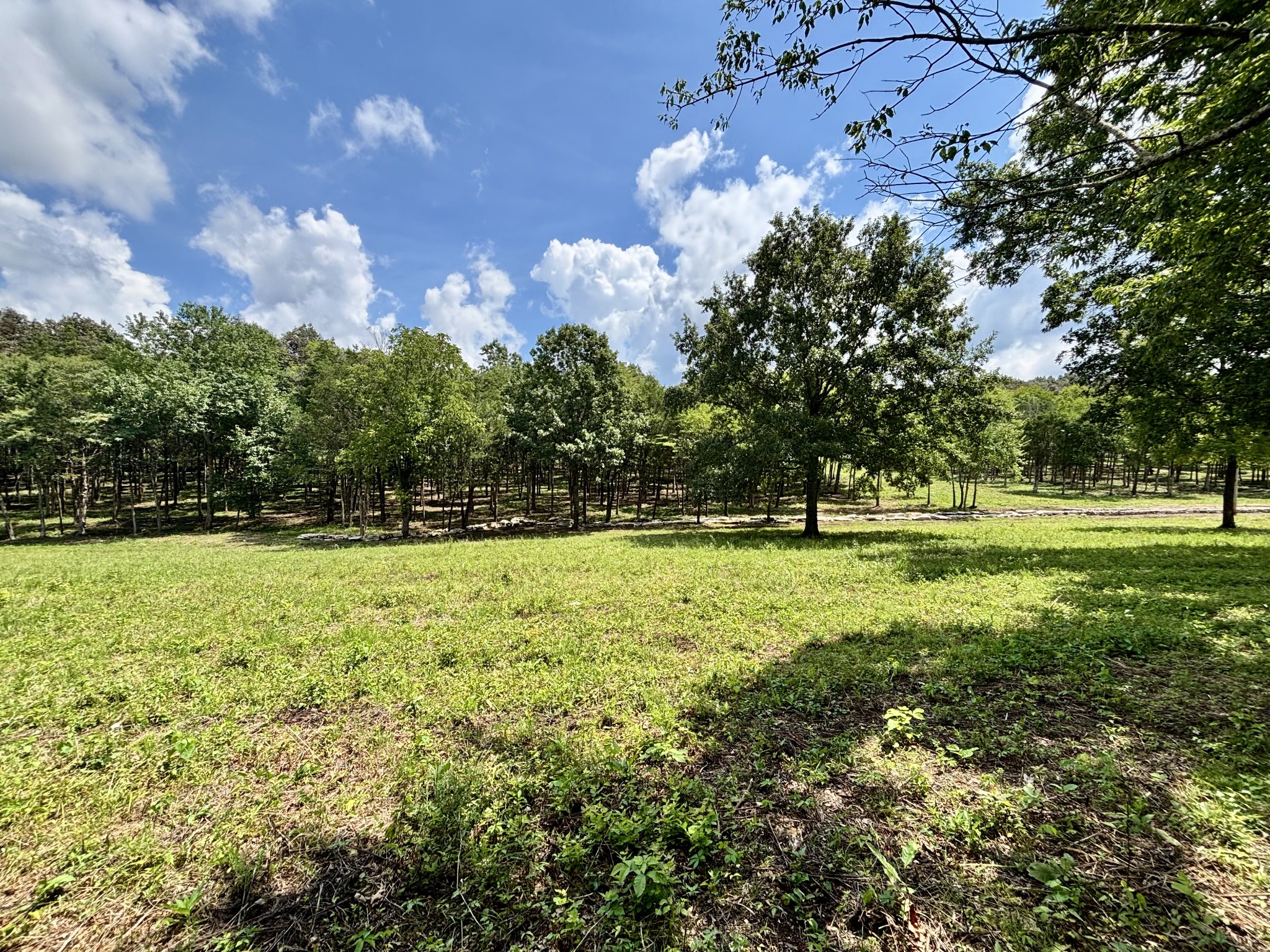 8598 Taliaferro Road Eagleville, TN 37060 - Photo 52 of 60