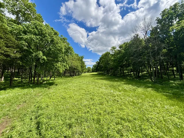 $3,800,000 | 8598 Taliaferro Road, Eagleville, TN 37060