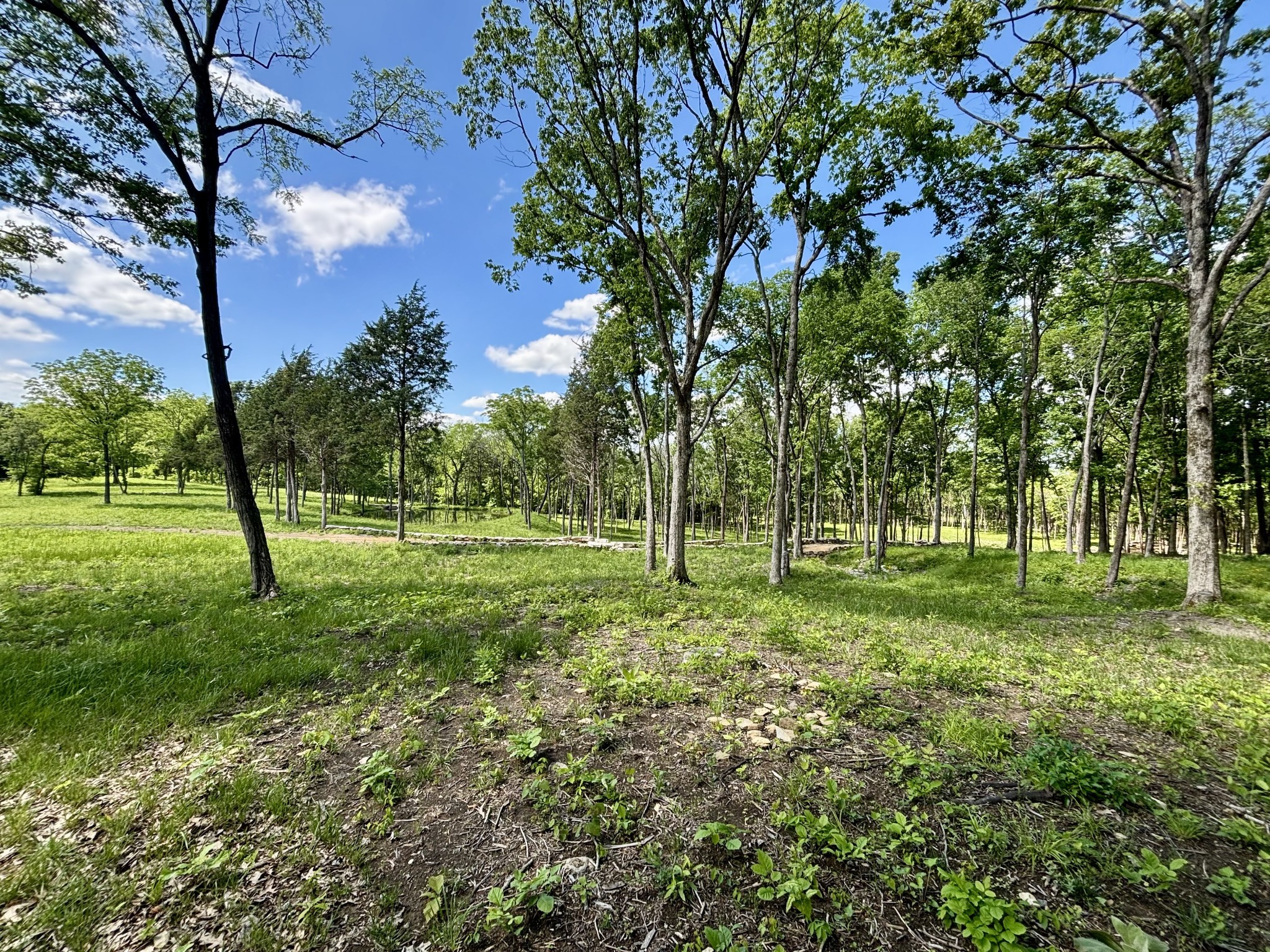 8598 Taliaferro Road Eagleville, TN 37060 - Photo 10 of 60