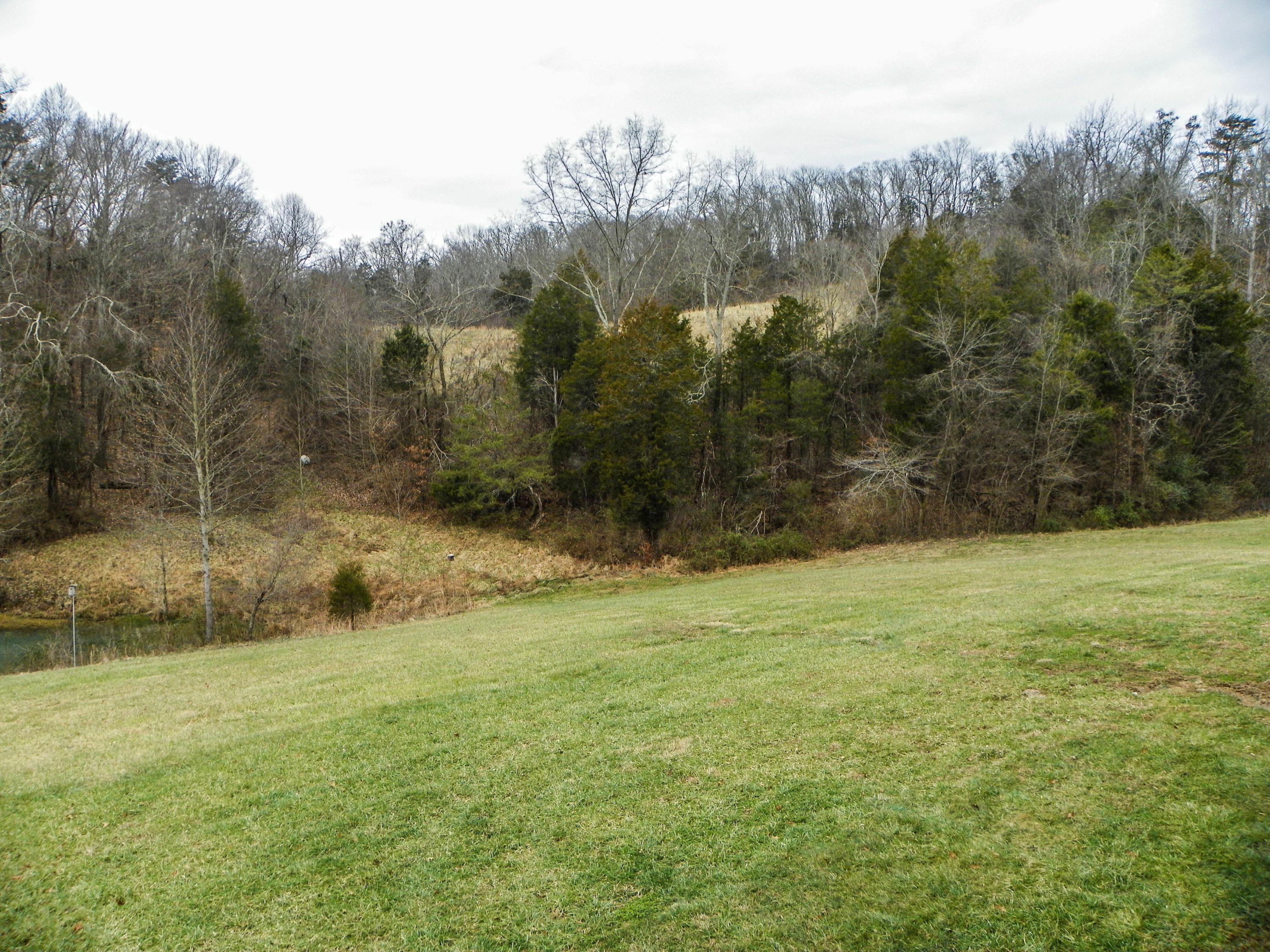 3041 Hardy Road White Pine, TN 37890 - Photo 36 of 40 103_5150