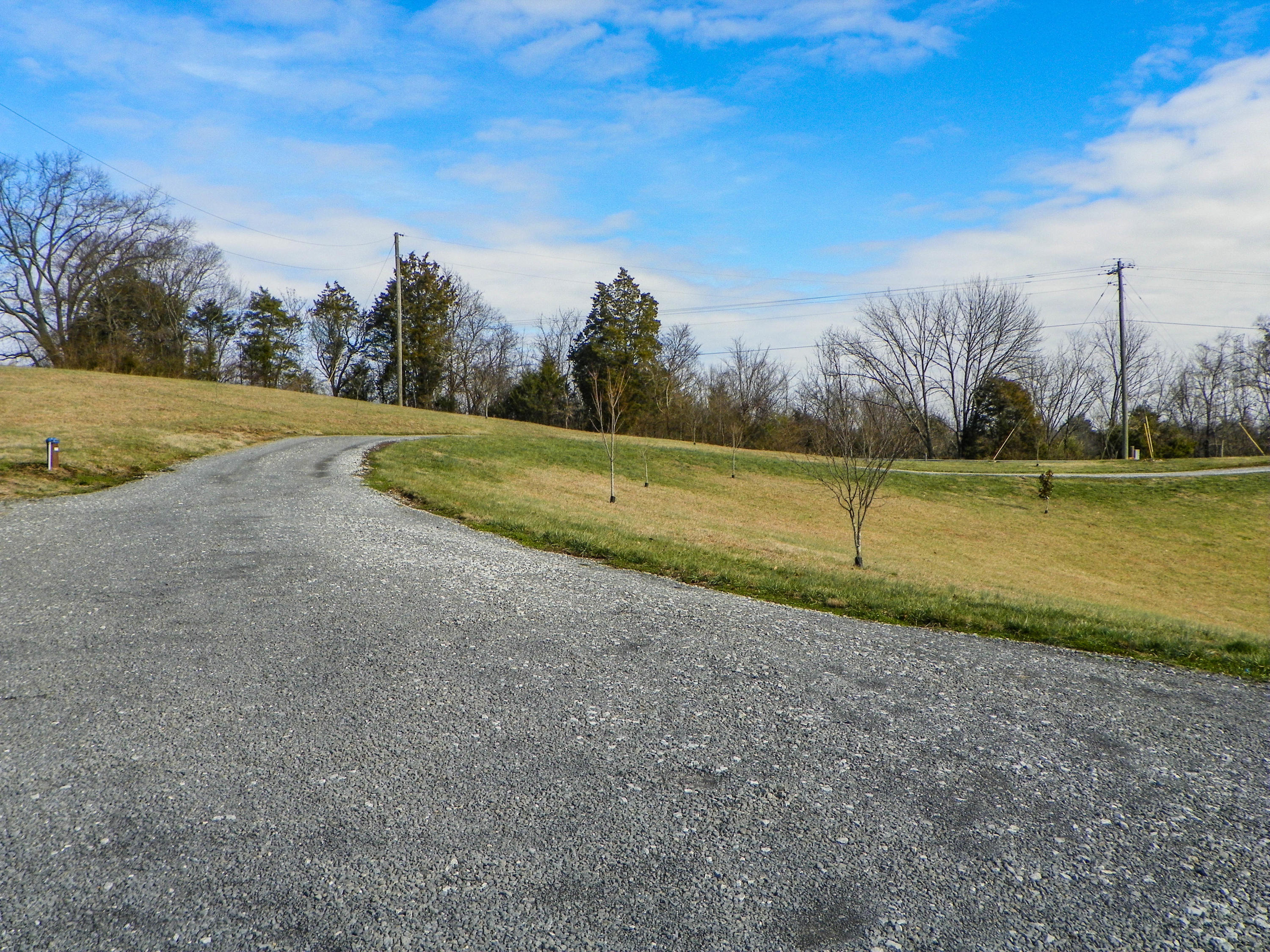 3041 Hardy Road White Pine, TN 37890 - Photo 37 of 40 103_5233