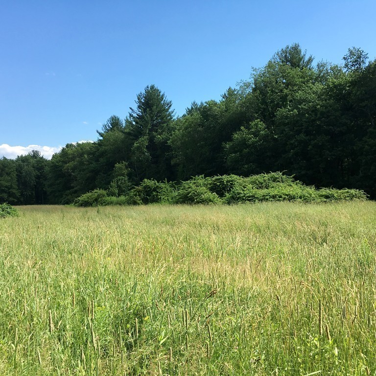 15 B Monument Farm Road Concord, MA 01742 - Photo 8 of 19 Gallery Image 8